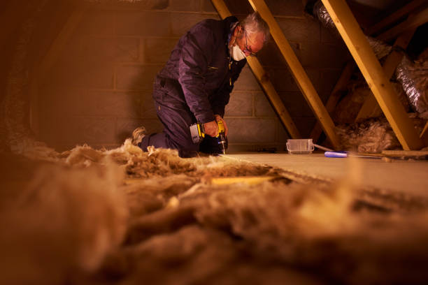Best Insulation Maintenance and Repair in Presidio, TX